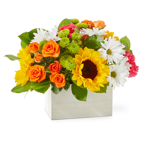 Sun-drenched Blooms Bouquet - Deluxe