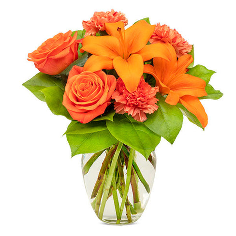 All Orange For You