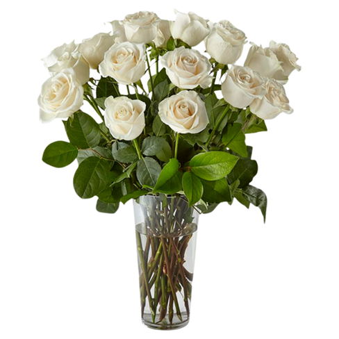 Long Stem White Rose Bouquet - Deluxe