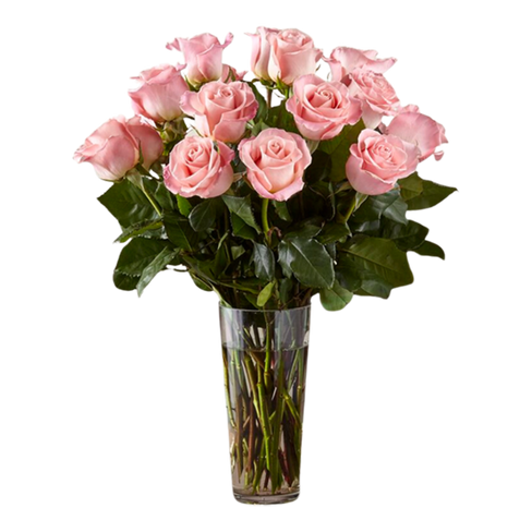 The FTD Long Stem Pink Rose Bouquet - Deluxe