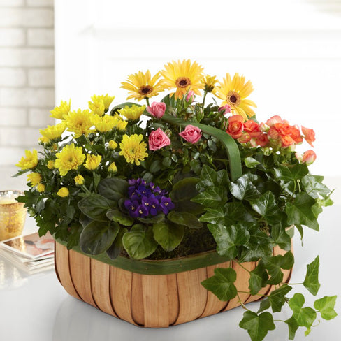 Gentle Blossoms Basket