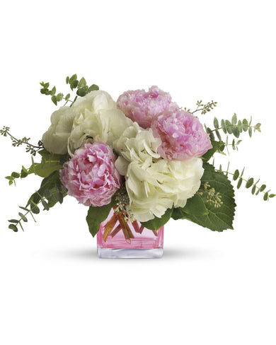 Pretty in Peony, standard
